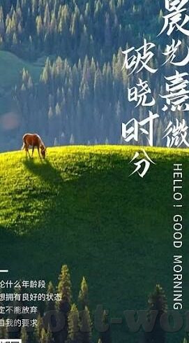 百家乐是什么-百家乐，一场文化盛宴的解读