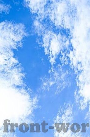 足球比分网塞尔维亚-探秘足球比分网塞尔维亚，绿茵场上的数据枢纽与球迷狂欢站